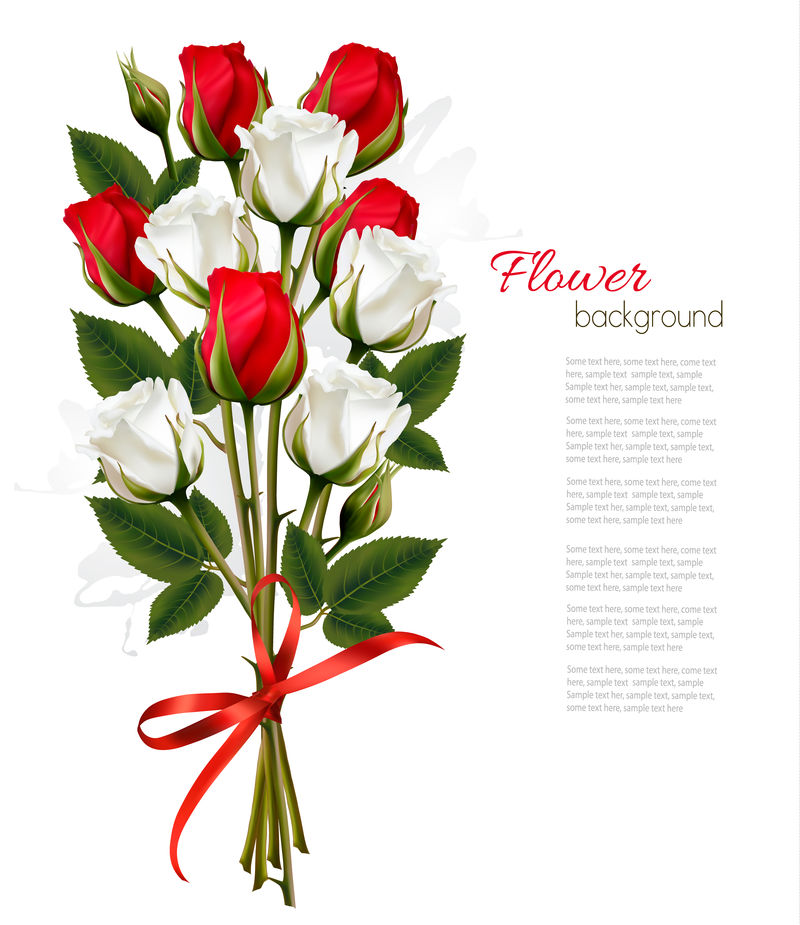 一束美丽的红玫瑰和白玫瑰。矢量。