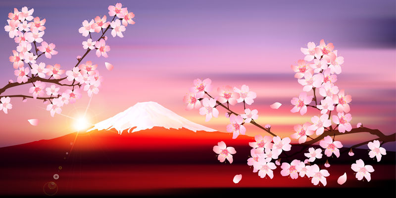 富士春樱树背景