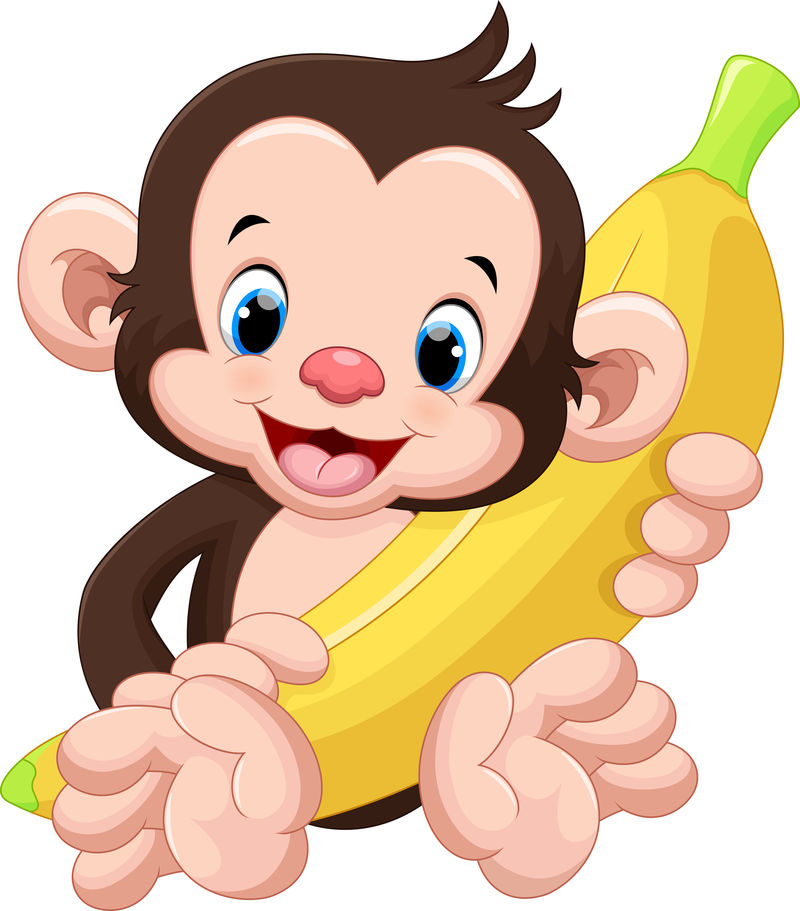 可爱的猴子拿着香蕉