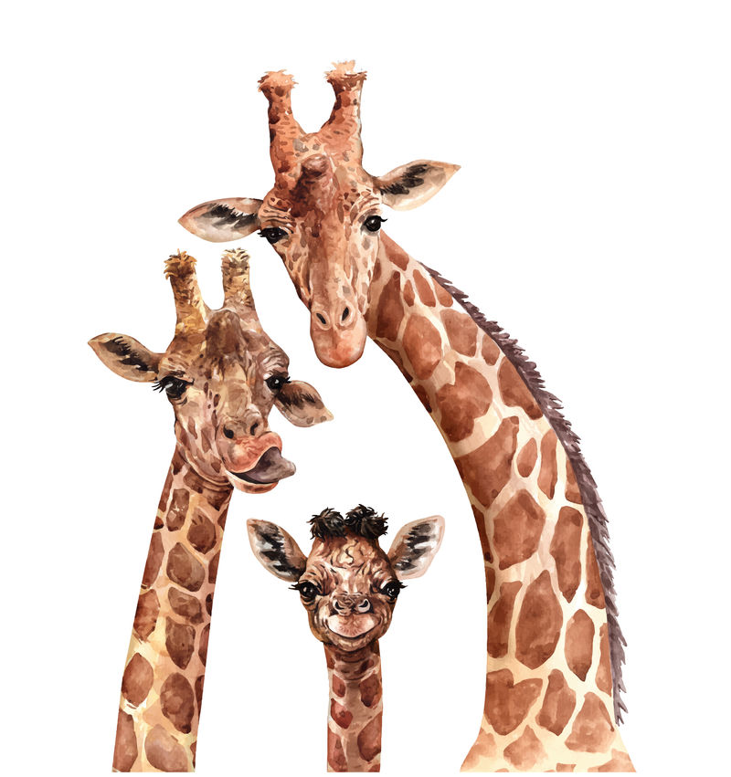 水彩长颈鹿-用刷子刷-手工制作-母亲和孩子-儿童和成人用的卡片、杂志和书籍的别致的构图-澳大利亚的动植物