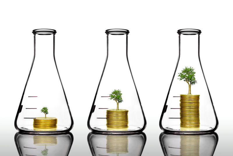 金瓶树木-钱与投资增长观