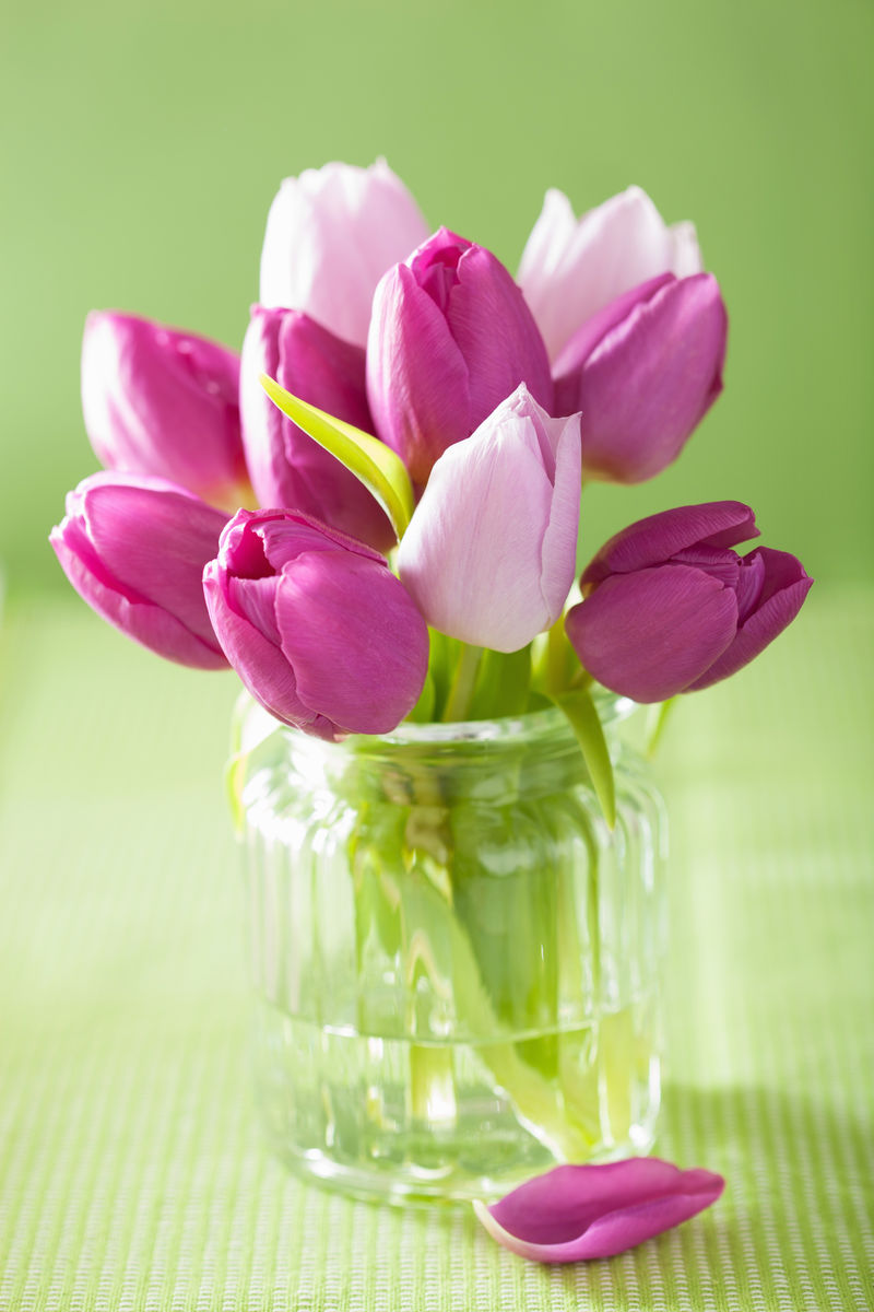 美丽的紫色郁金香花瓶花束