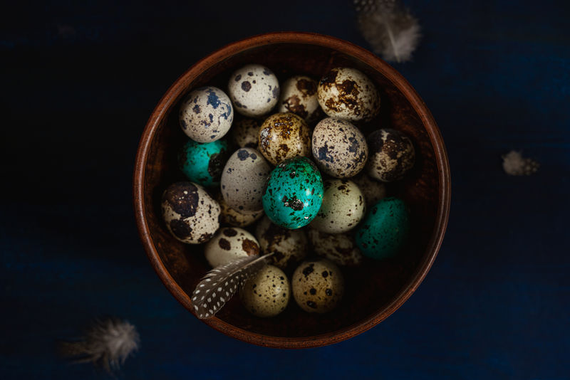 鹌鹑蛋，一些颜色的青绿色，深蓝色背景碗里的羽毛。黑暗而喜怒无常的复活节贺卡