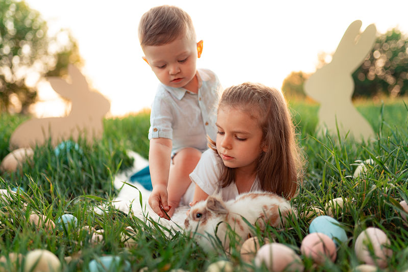 小男孩和小女孩玩兔子。快乐的小女孩抱着可爱的毛茸茸的兔子。春拍美女少年抱兔