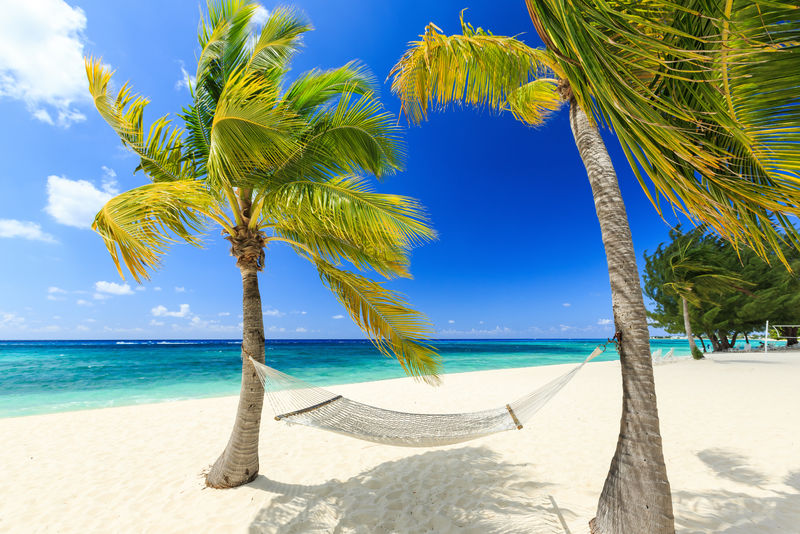 大开曼岛7英里海滩的吊床和棕榈树
