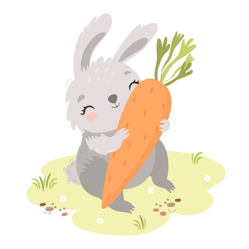 胡萝卜兔