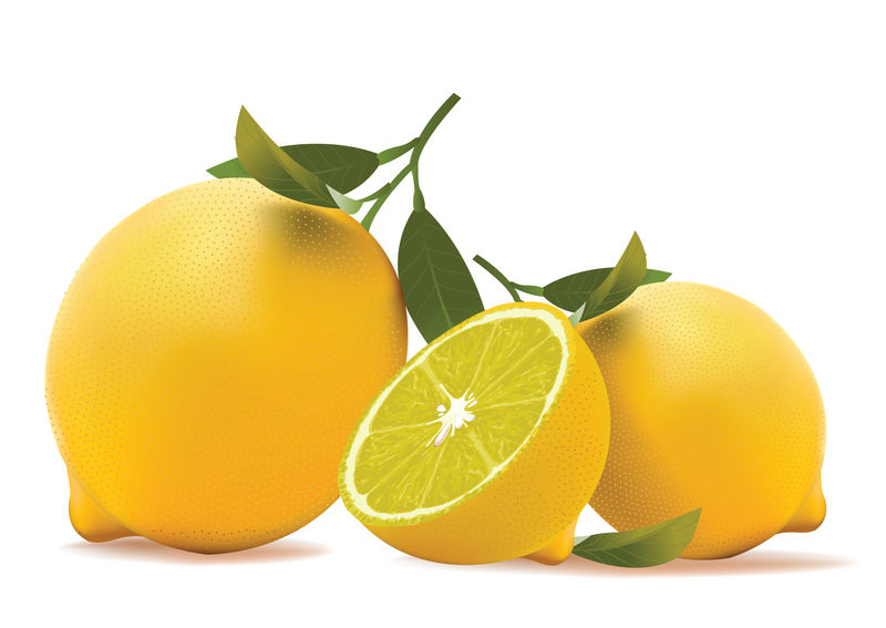 柠檬-真实感的矢量图示