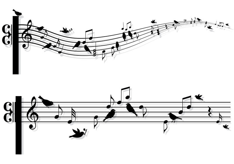鸟的音乐音符，矢量