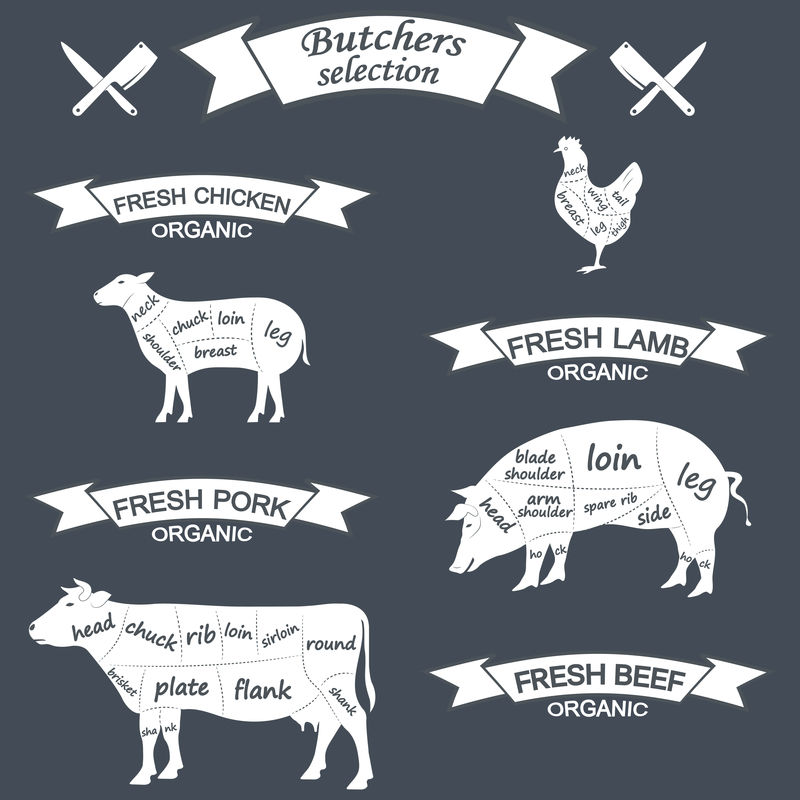切割鸡、猪、牛、羊尸体的矢量图