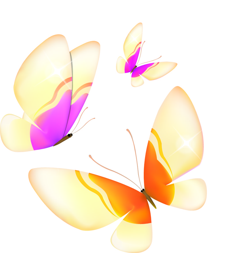 彩色蝴蝶-隔离在白色背景上