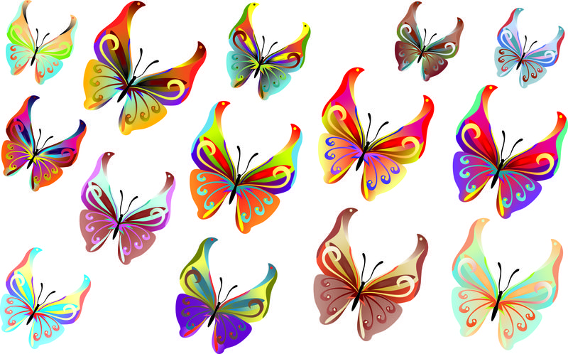 蝴蝶的无缝图案