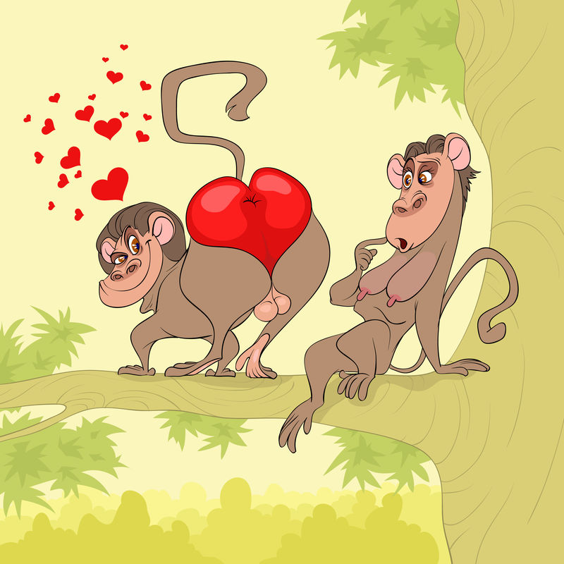 猴子情人节