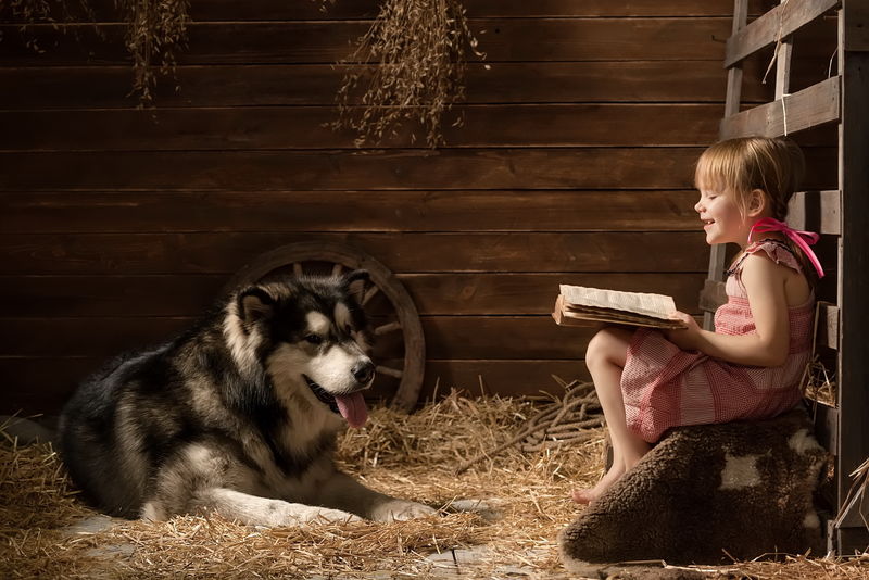 小女孩在谷仓里给他的狗看书