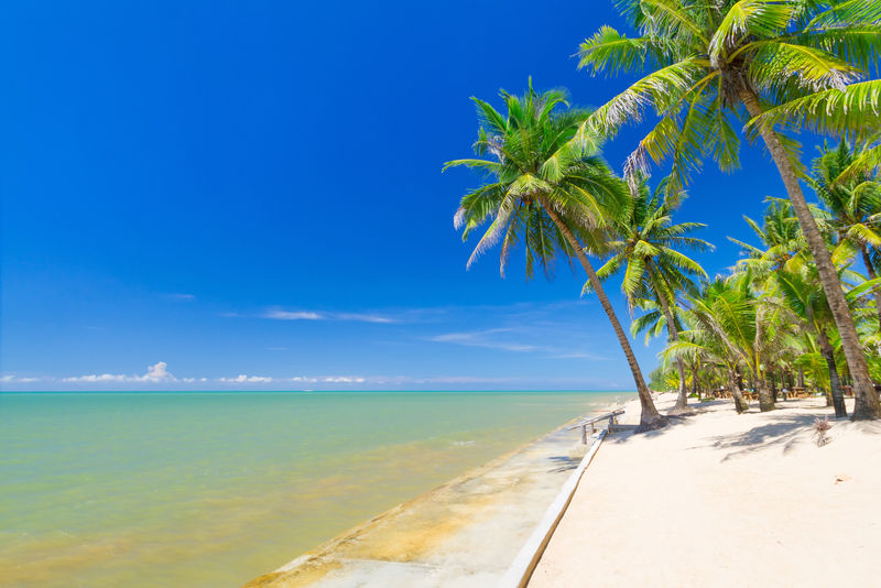 泰国美丽的热带海滩，有椰子树