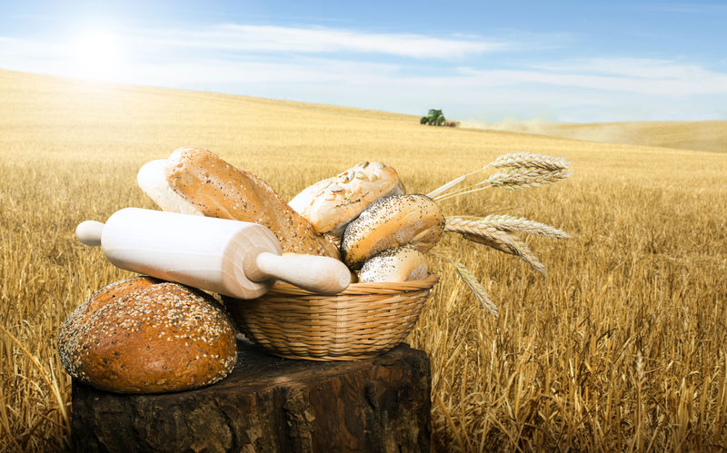 面包和小麦谷类作物