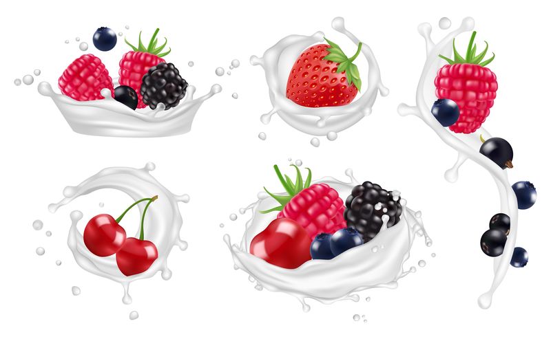 浆果牛奶泼向量集。草莓，覆盆子，蓝莓水果和酸奶飞溅分离载体插图