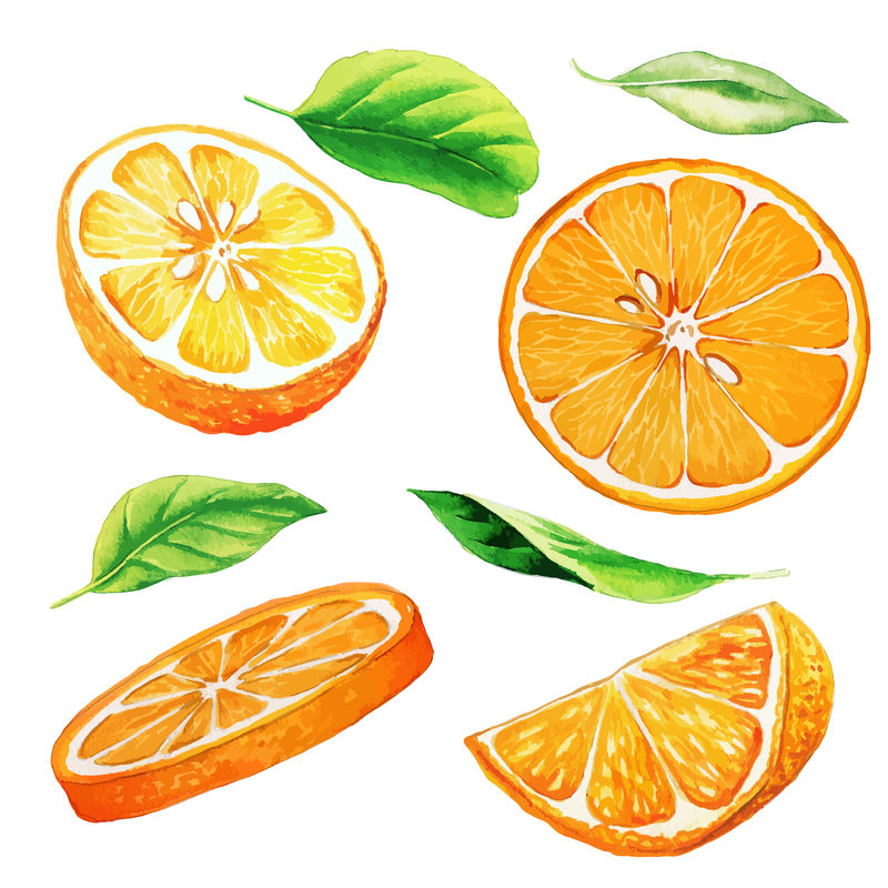 一套橘子的果实和叶子