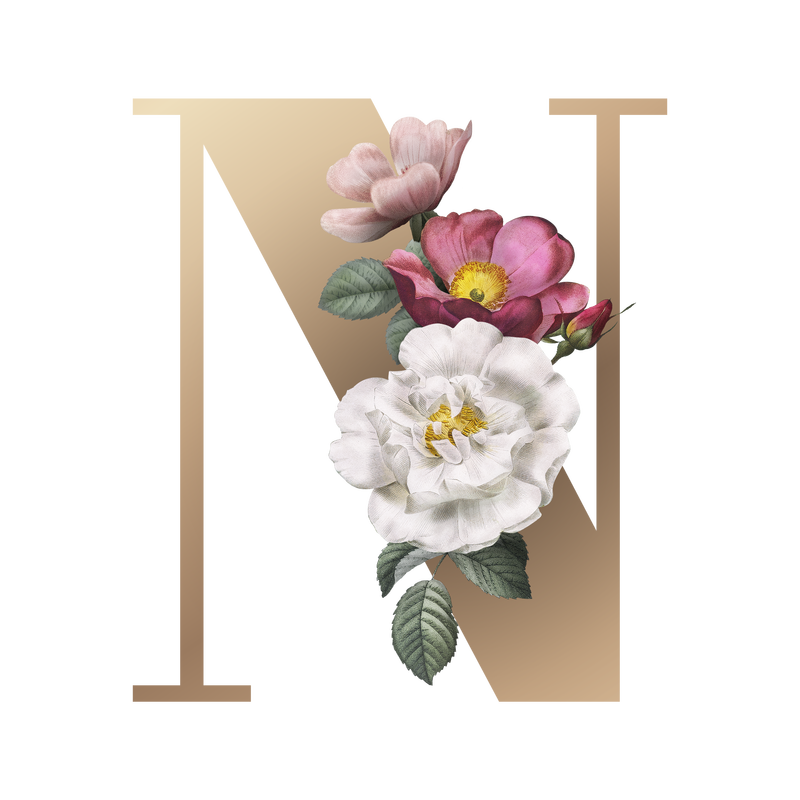 经典典雅的花卉字母字体字母N透明png