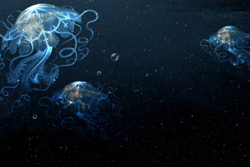 深蓝色海洋中的活生物体设计资源