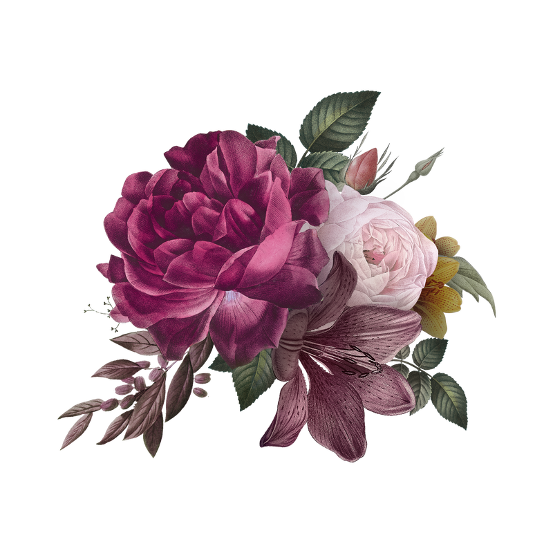漂亮的手绘粉色玫瑰透明背景png