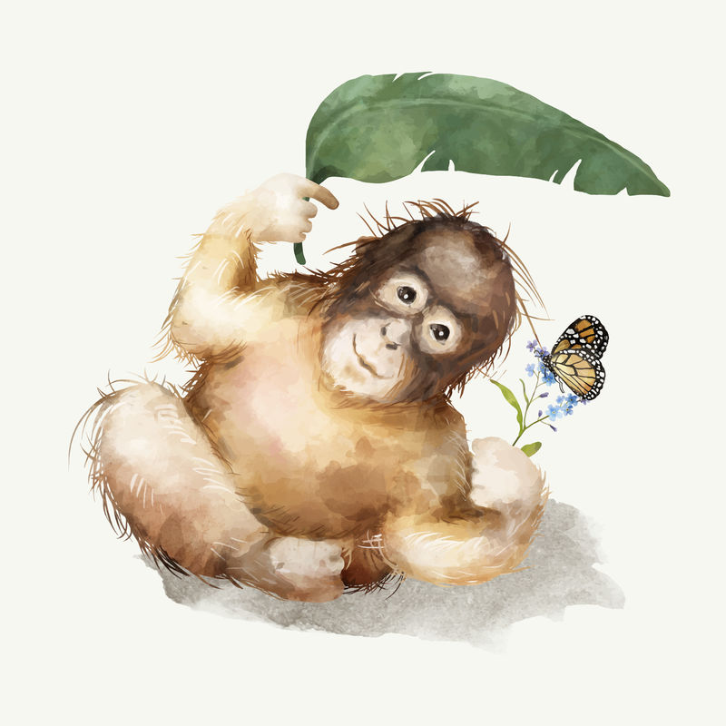 黑猩猩宝宝的插图
