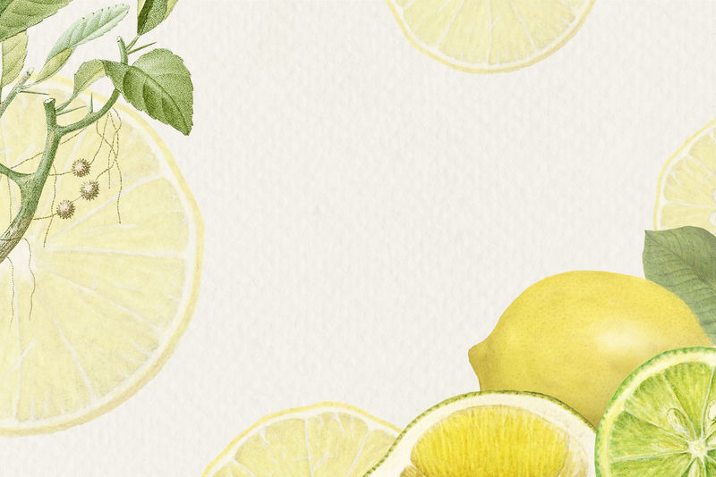 手绘天然新鲜柠檬图案框架