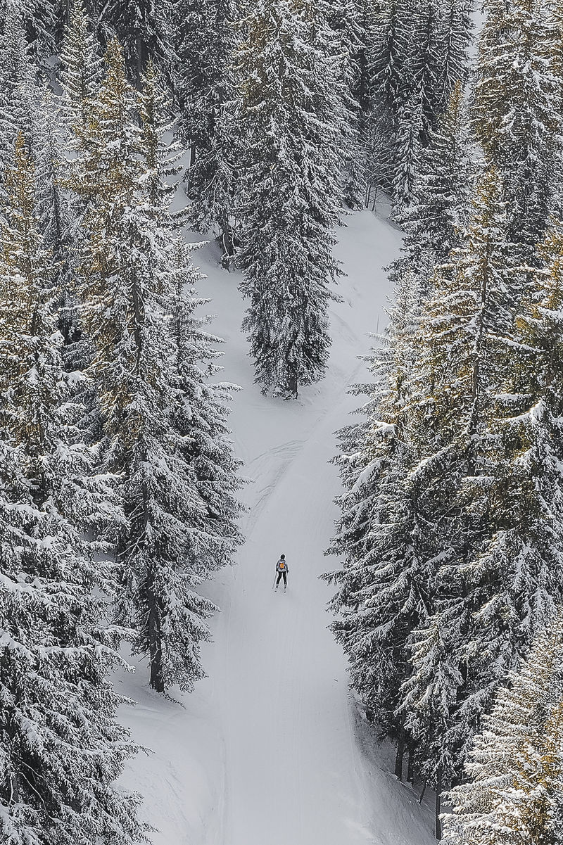 瑞士韦比尔游客滑雪穿过山