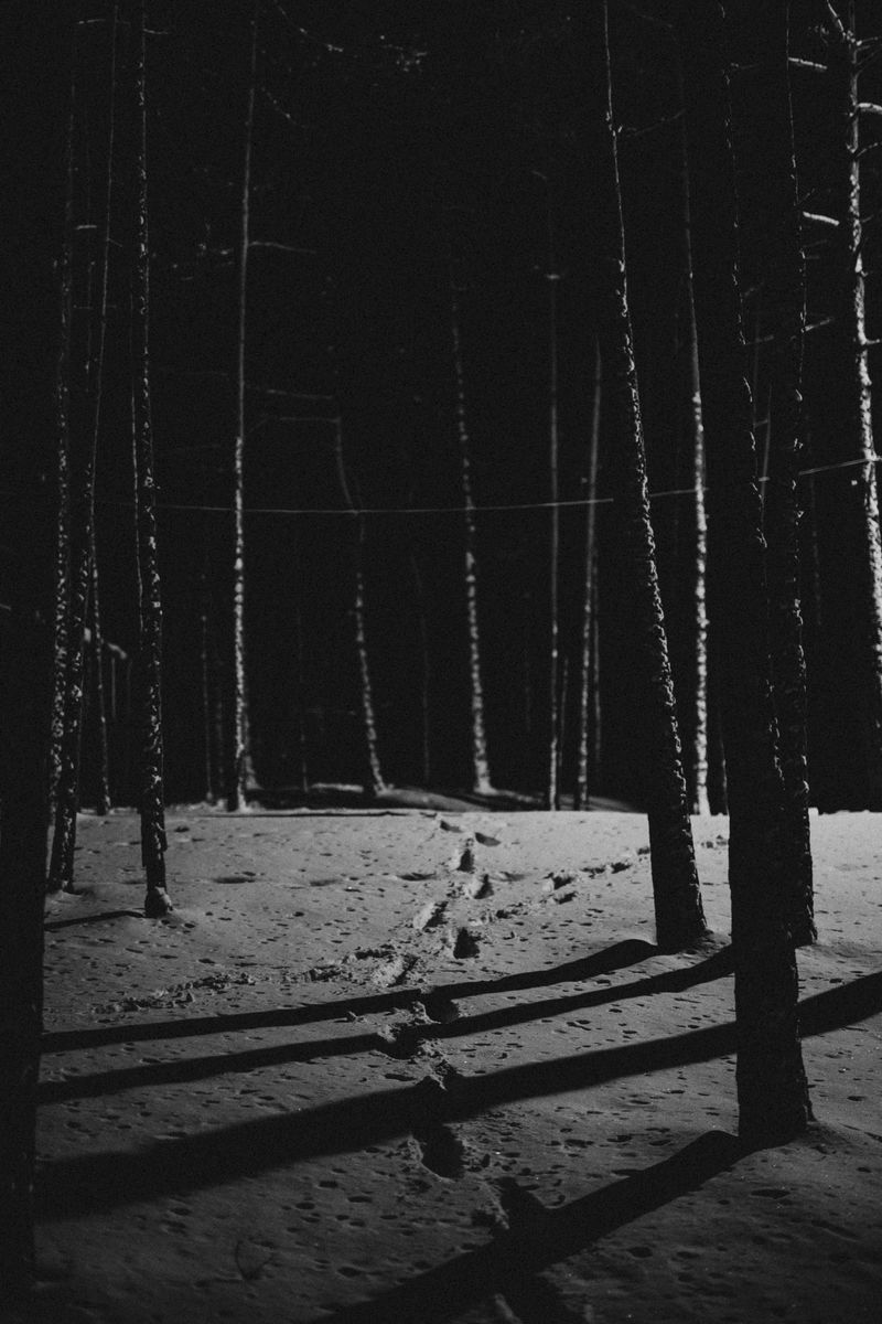 黑暗森林的雪地上的脚步声