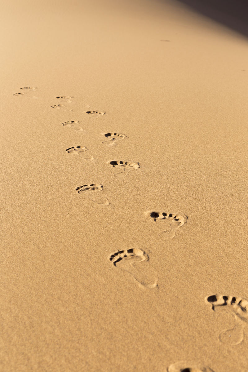 沙漠沙上的脚印