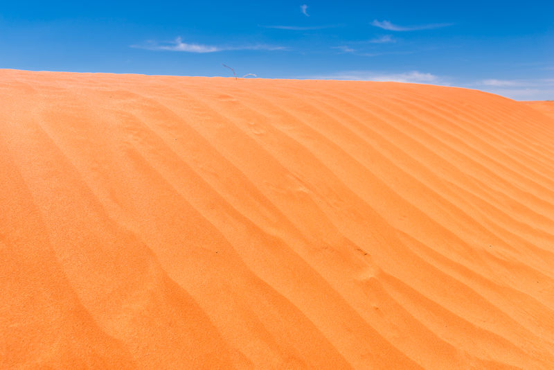 沙丘纹理背景