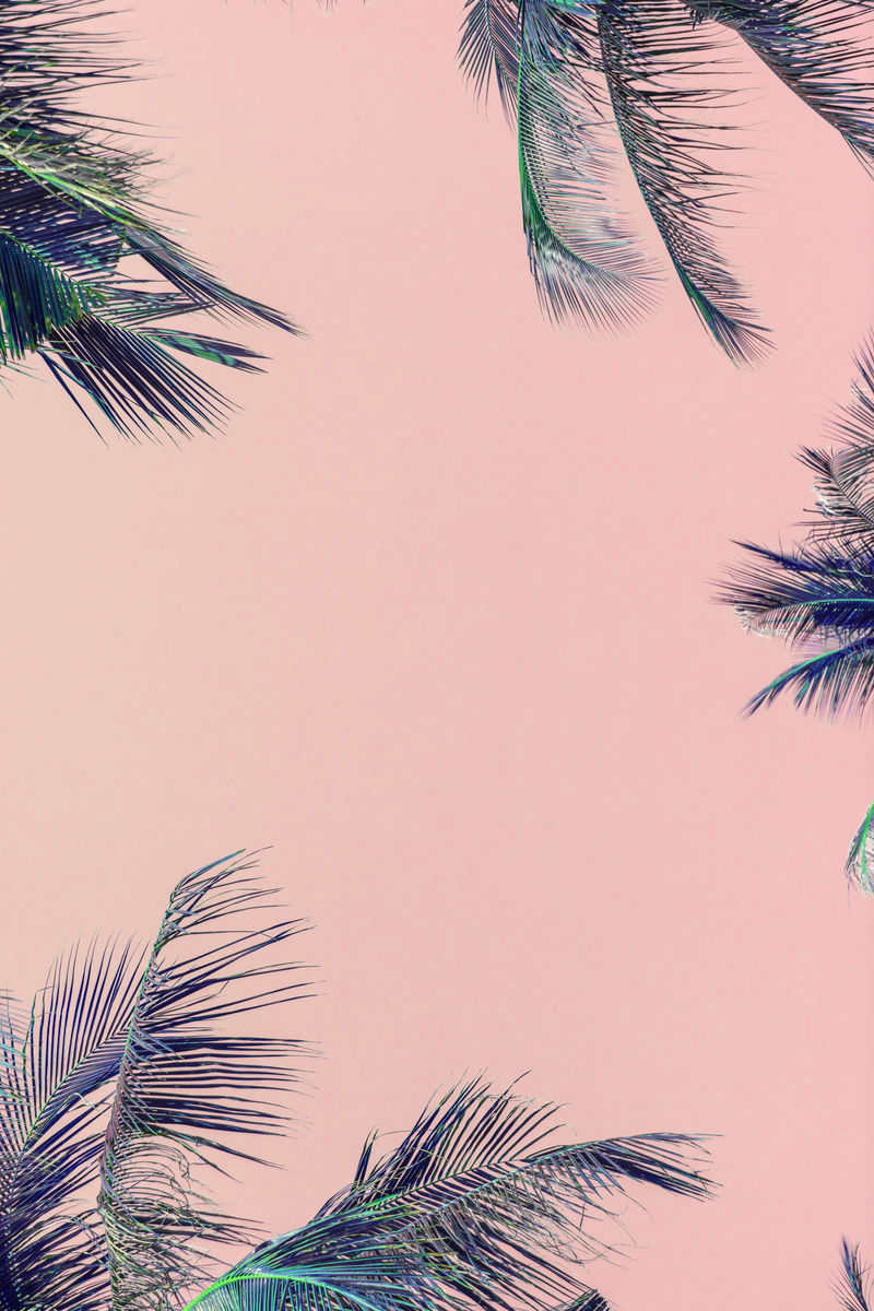 粉红色背景的热带绿色棕榈叶