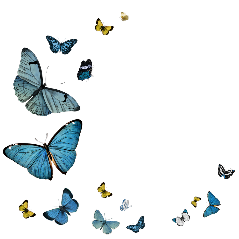 复古的普通蓝色蝴蝶有一个复制空间
