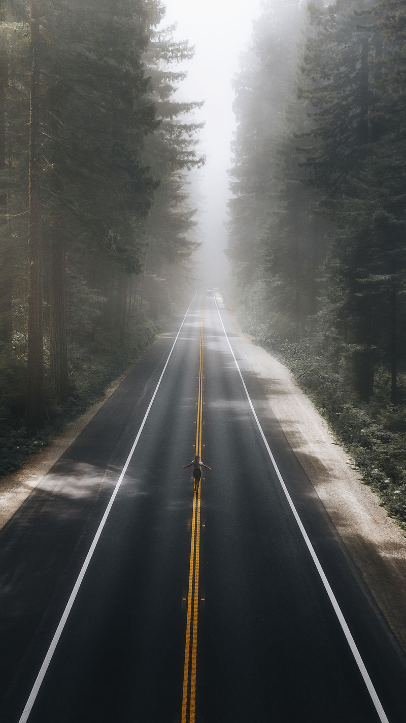 穿过加州森林的风景优美的高速公路
