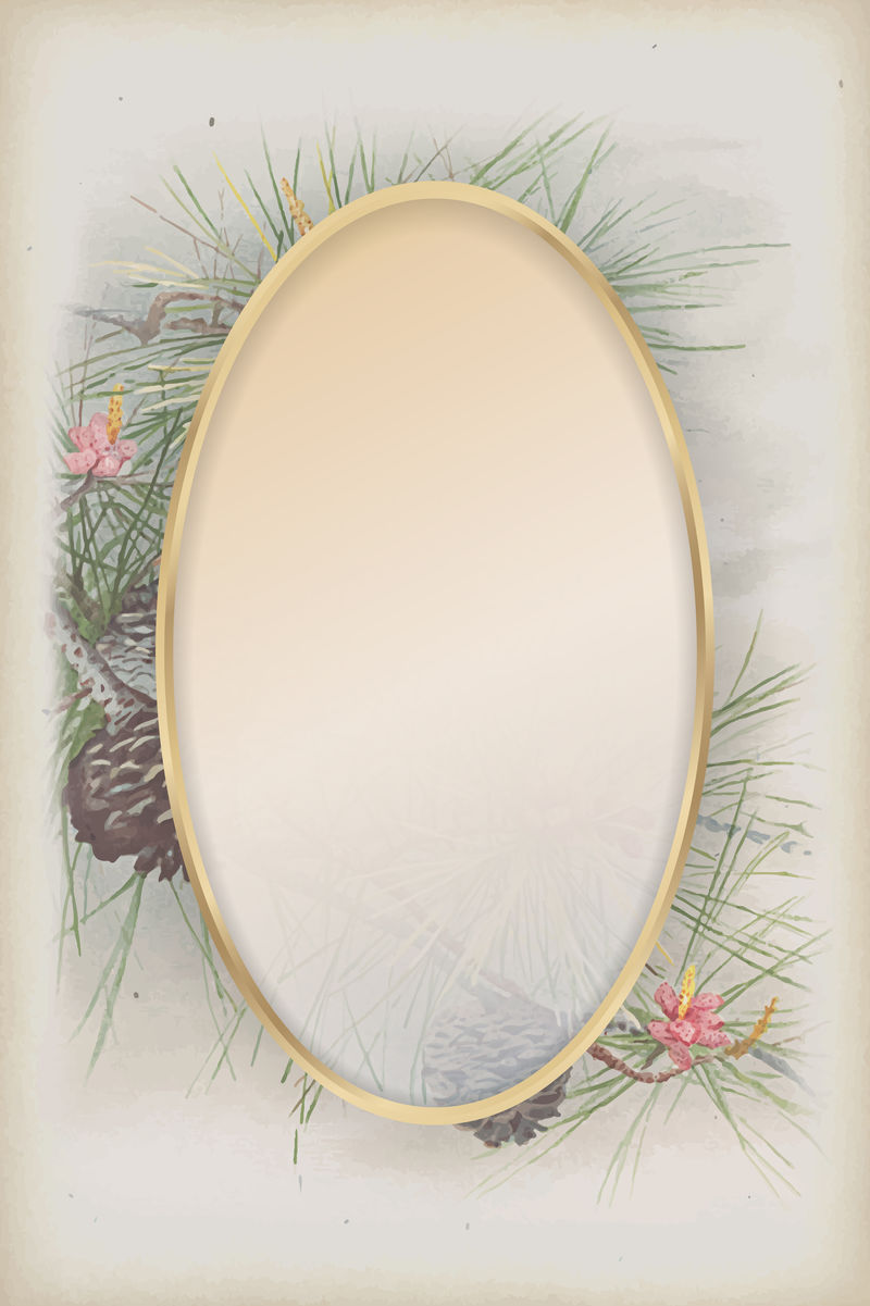 松树和针叶树球果图案背景向量上的椭圆形金框