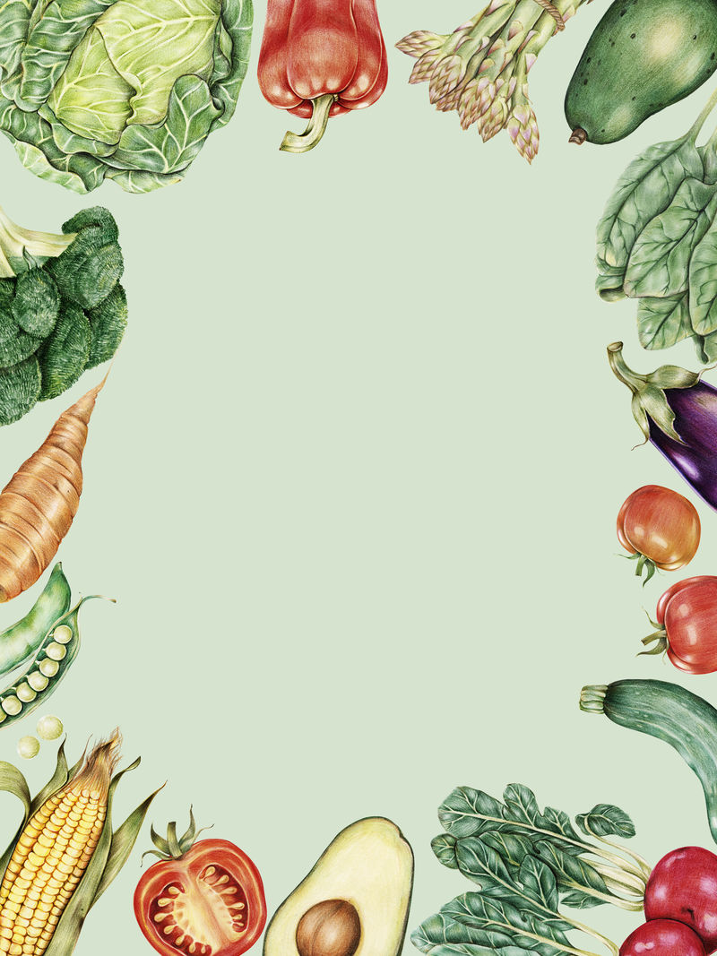 新鲜蔬菜框架psd手绘插图