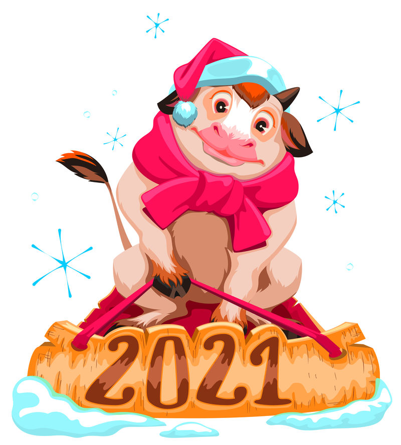 2021年的公牛象征。圣诞牛在圣诞帽雪橇