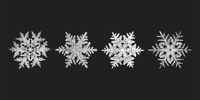 冬季雪花矢量宏观摄影集威尔森·本特利的艺术混搭
