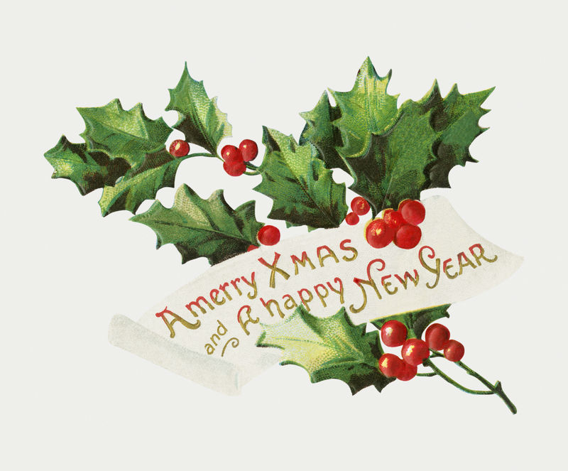 复古冬青树枝插画带有快乐的X\u0026#39；mas和新年祝福