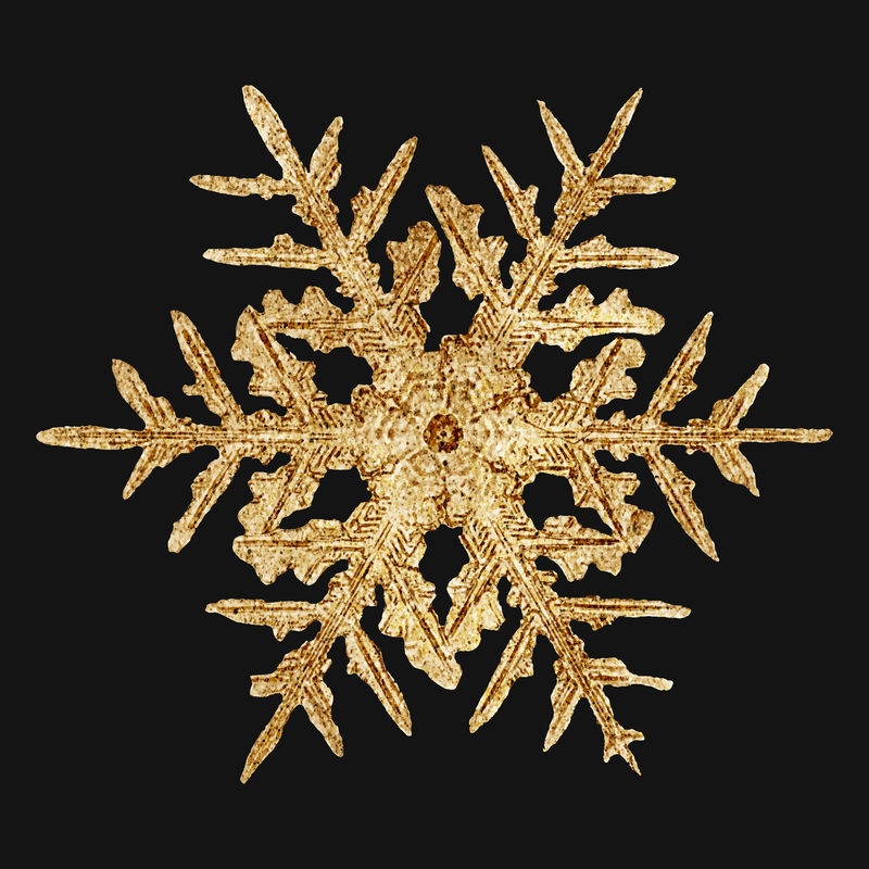 冬季金色雪花矢量宏观摄影威尔森·本特利的艺术混搭
