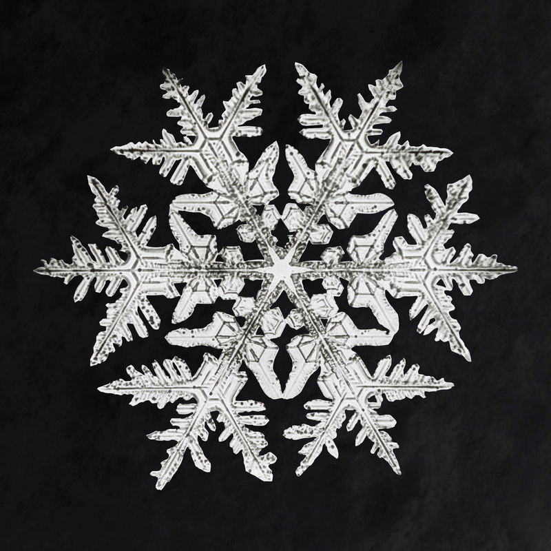冰天雪地psd微距摄影威尔森·本特利的艺术混音