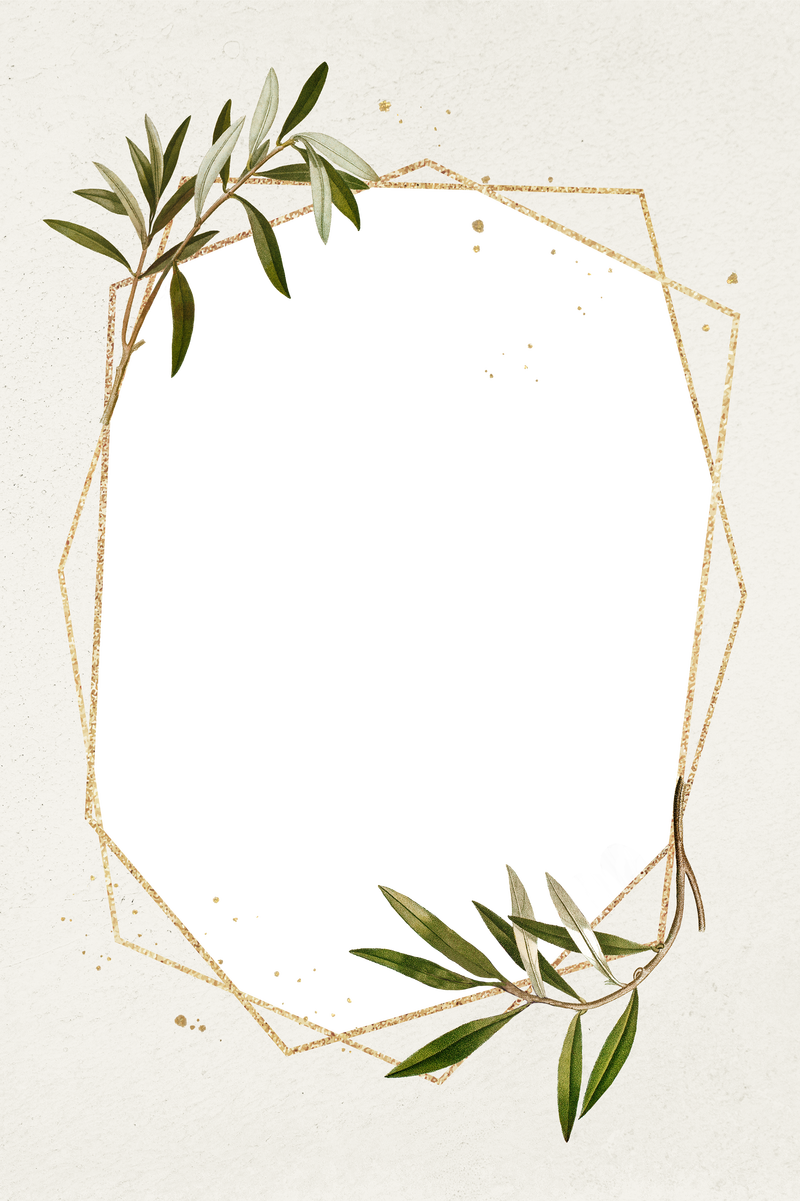 植物框架png橄榄枝图案