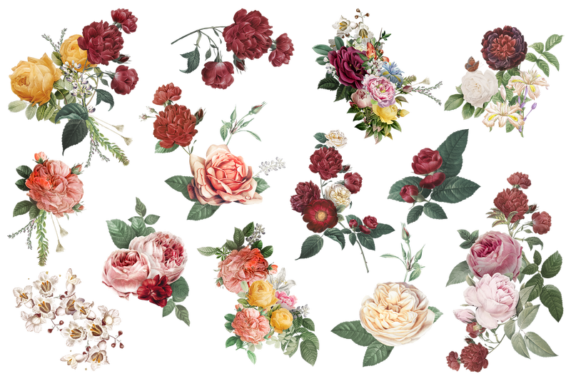 复古花卉png彩色水彩贴纸系列