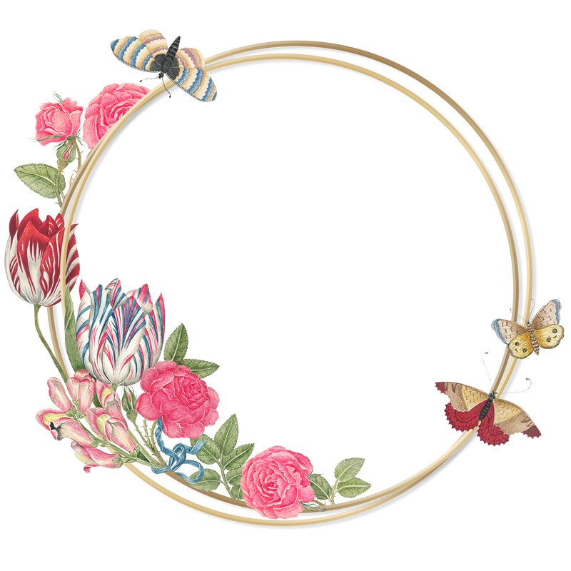 Png复古花卉金框由史密森尼档案馆18世纪的艺术品混合而成