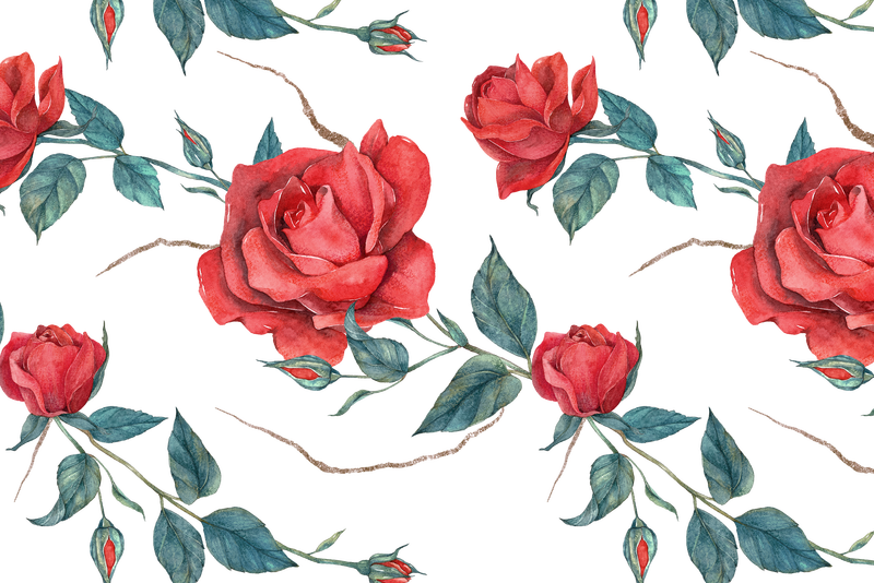 盛开的红玫瑰图案png透明背景