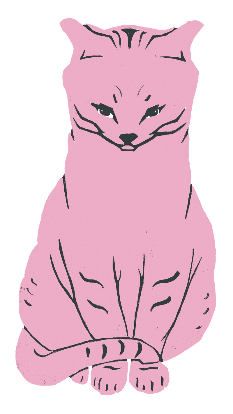 粉红猫动物png贴纸复古linocut图纸