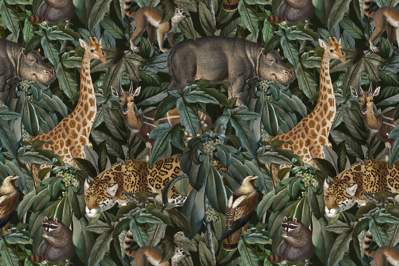 丛林图案背景psd野生动物