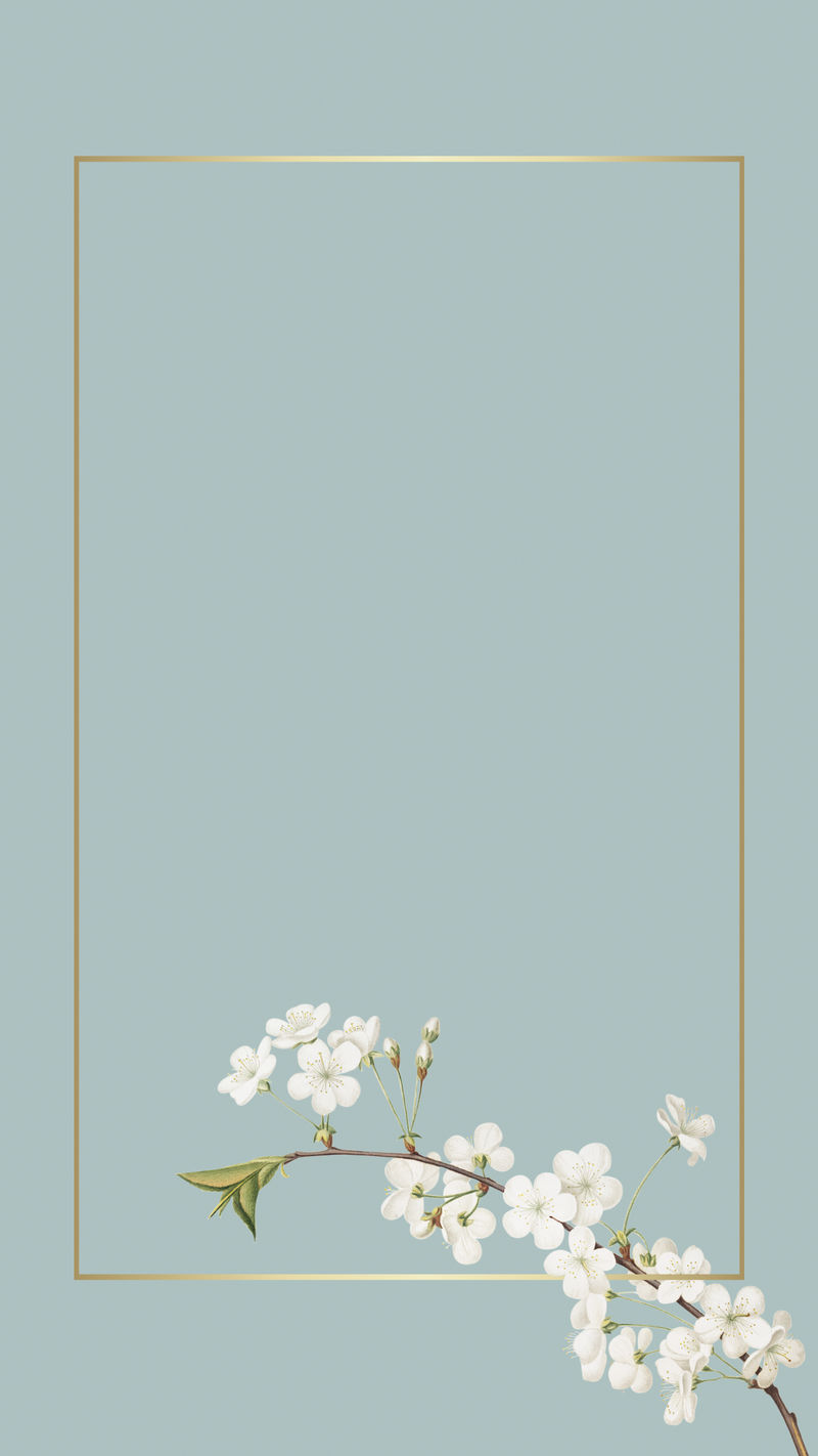 绿松石背景上的白色小花模型插图