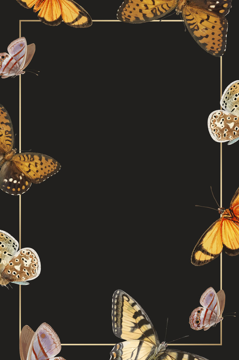 蝴蝶图案背景矢量金框