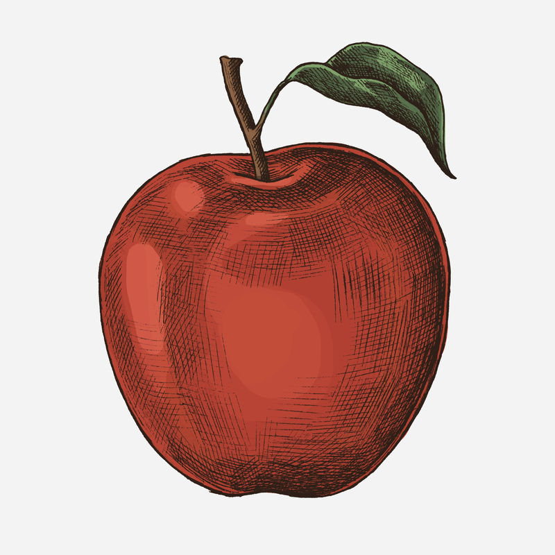 鲜熟红苹果插画