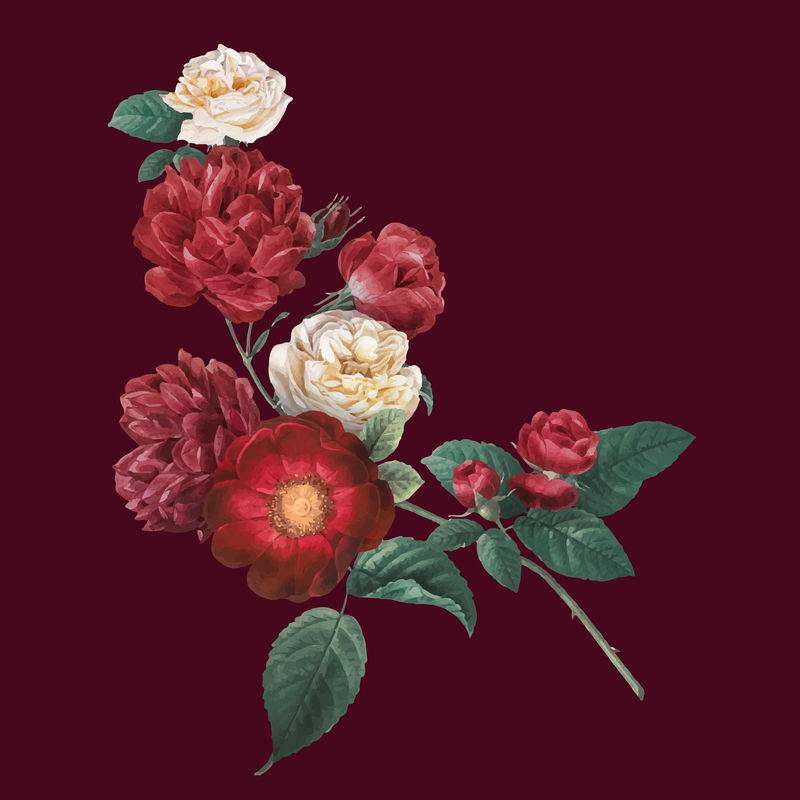 红色矢量花园玫瑰花朵复古手绘贴纸
